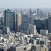 陽だまりー1