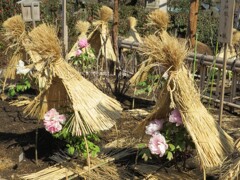上野公園散策 -3