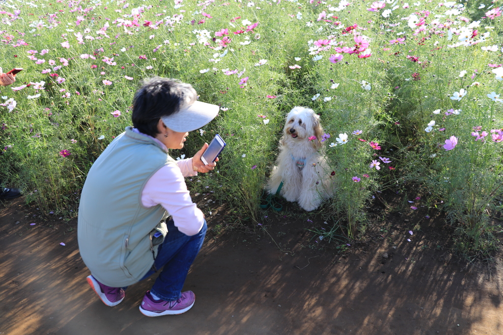 ‌インタビュー？