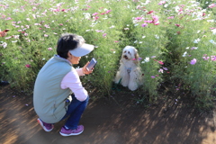 ‌インタビュー？