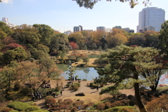 六義園遠景