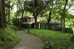 新緑散歩その２