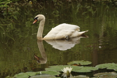 変身（2）ツー？