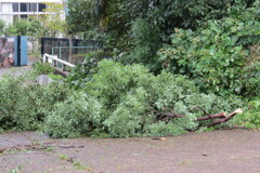 台風上陸その1