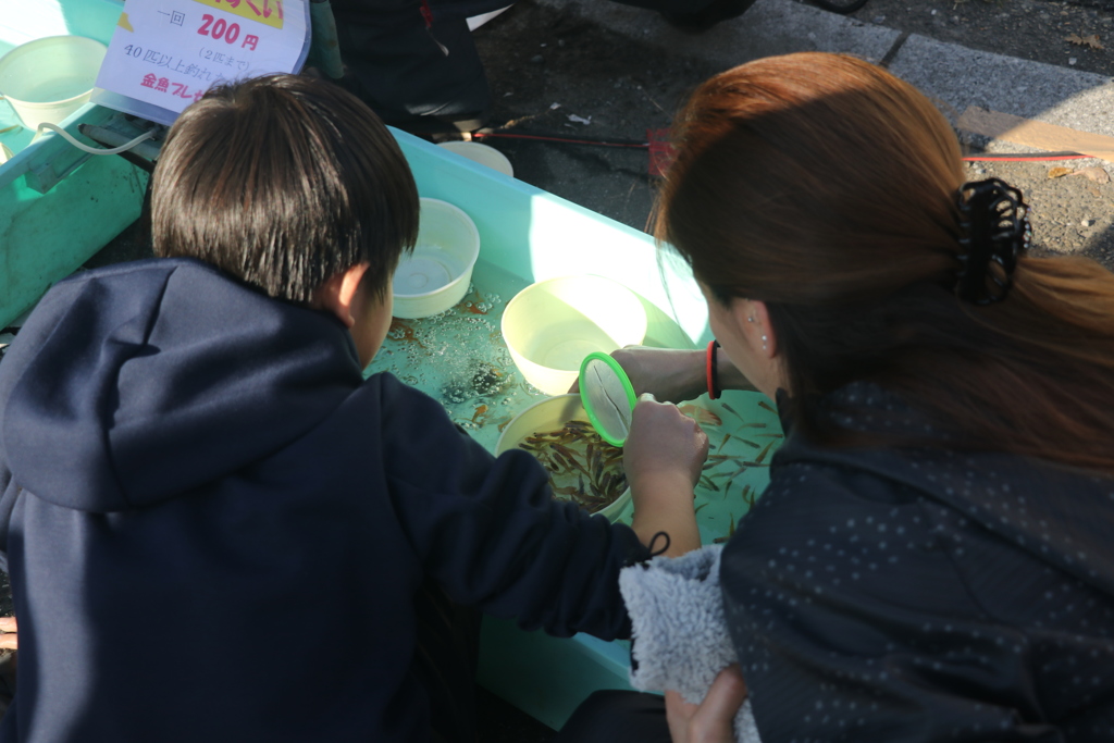 こんなに採ってどうするの？