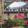上野公園散策 -12