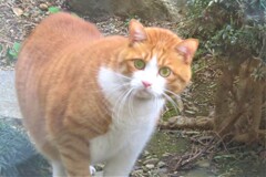 チョッと、何見てんのよ