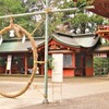 不要不急の外出を控えましたー2