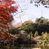 湖畔の秋、２