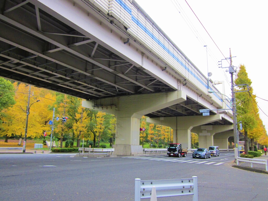散歩道