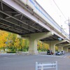 散歩道