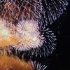 夜空を染めて