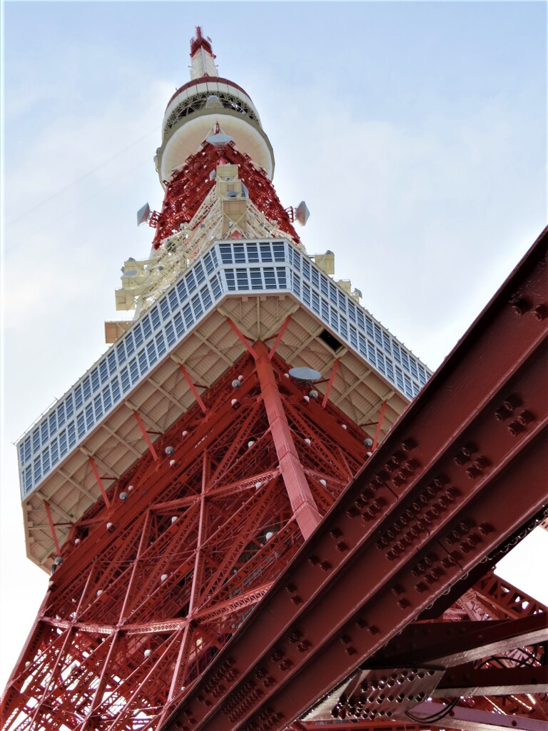 東京タワーを見上げて-5