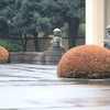 都、庭園美術館の秋2