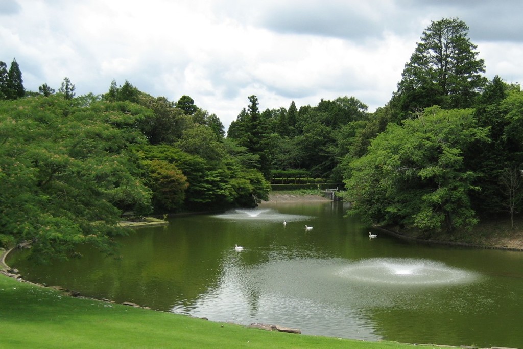 白鳥の湖