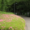 新緑散歩その3