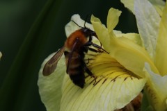 もぐもぐタイム 