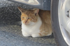危ないよ。。