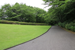 新緑散歩その9