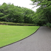 新緑散歩その9