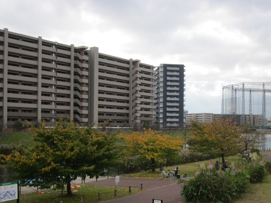 秋の旧中川周辺