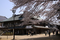 古民家と桜ー１