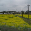 見渡す限り