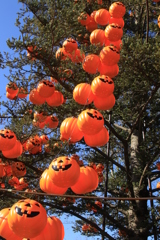 ハロウイーンの季節-4