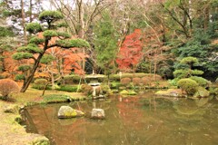 暖冬の紅葉
