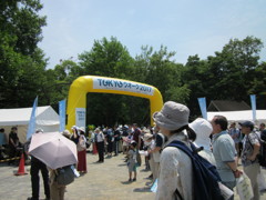 今年も、東京ウオーク