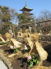 上野公園散策 -4