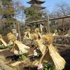 上野公園散策 -4