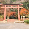 暖冬の紅葉