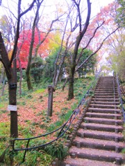 散歩道