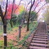 散歩道