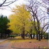 散歩道