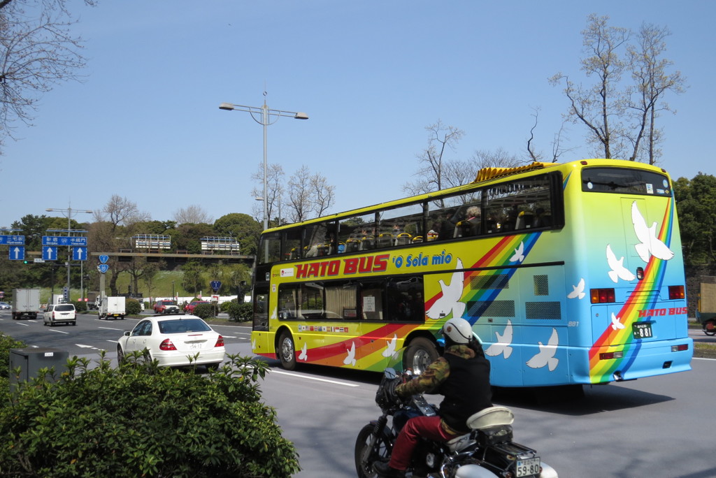 はとバスがとばす。