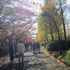 秋の猿江恩賜公園
