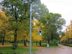 散歩道