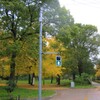 散歩道