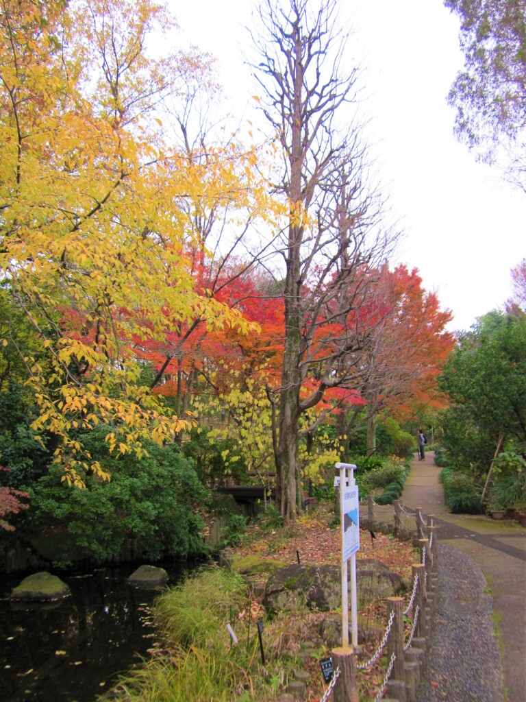 散歩道