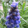 路傍の春ー15