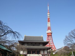 東京タワーと周辺 -2
