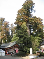 大杉神社、ご神体