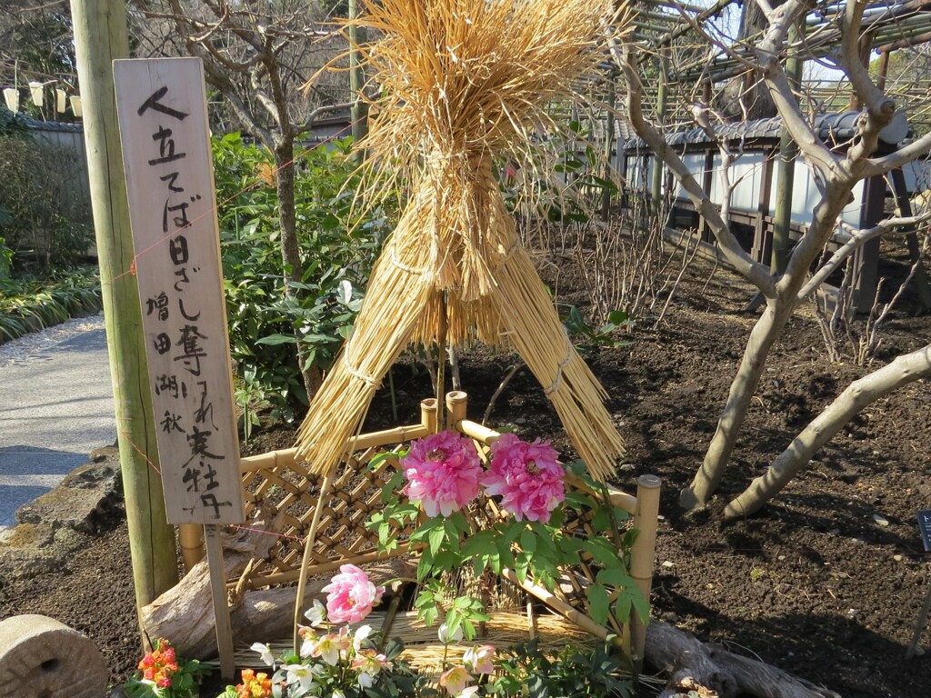 上野公園散策 -1