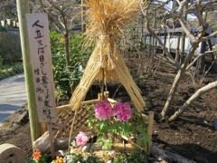 上野公園散策 -1