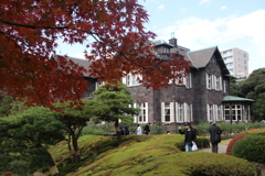 紅葉を追いかけて、１