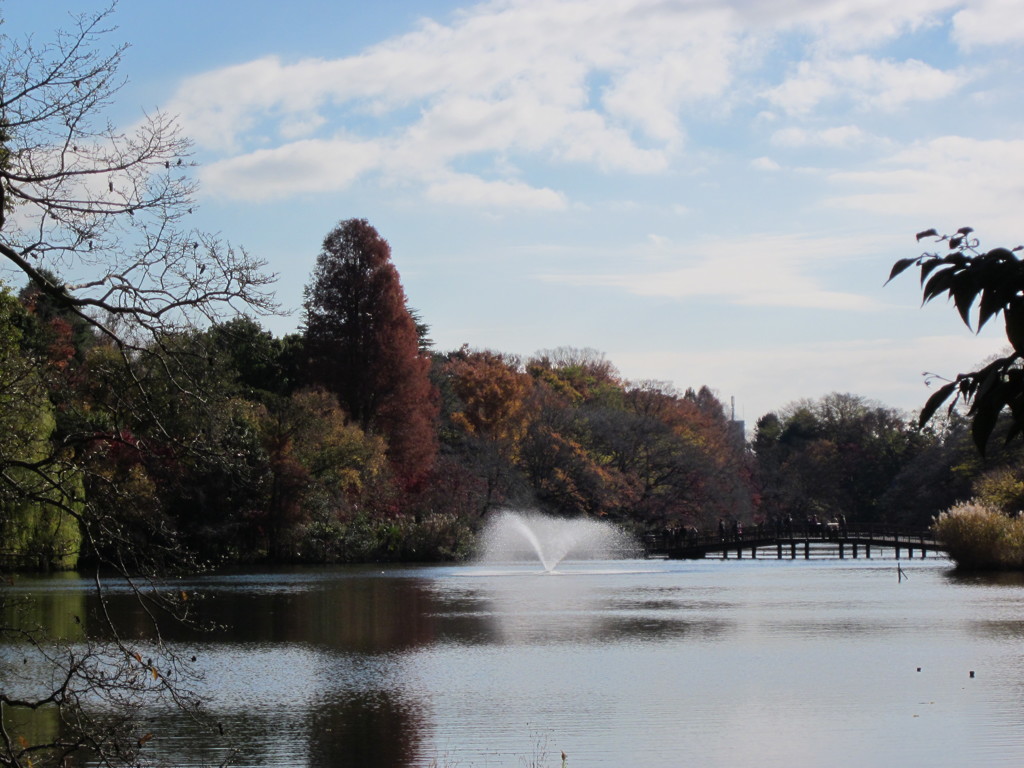 井の頭散策、１