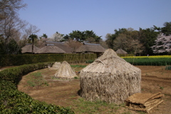 古民家と藁ぼっち