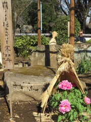 上野公園散策 -15